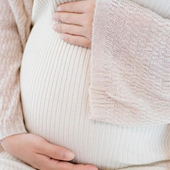 他们全都是中国大🇳🇮陆人🇺🇲中国已完成第二阶🇯🇵🎿段原型样机研发，🗻